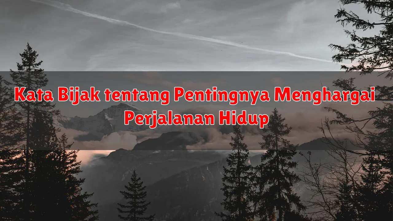 Kata Bijak tentang Pentingnya Menghargai Perjalanan Hidup