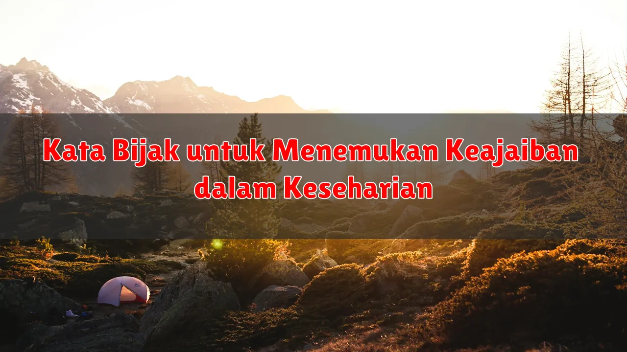 Kata Bijak untuk Menemukan Keajaiban dalam Keseharian