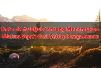 Kata-Kata Bijak tentang Menemukan Makna Sejati dari Setiap Pengalaman